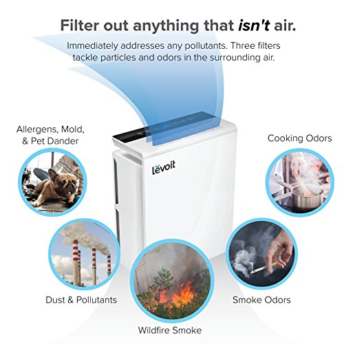 HEPA Filters
