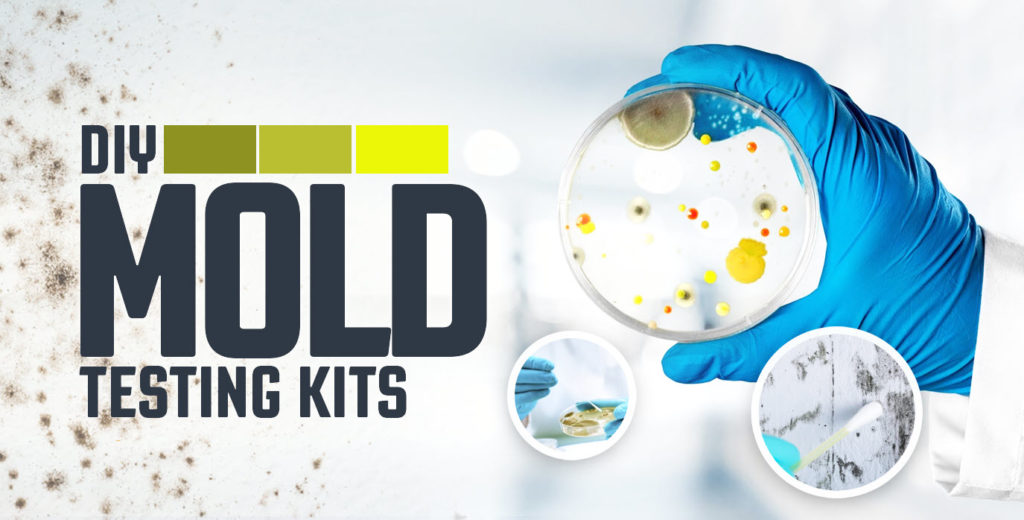 mold test kits