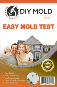 mold test at home