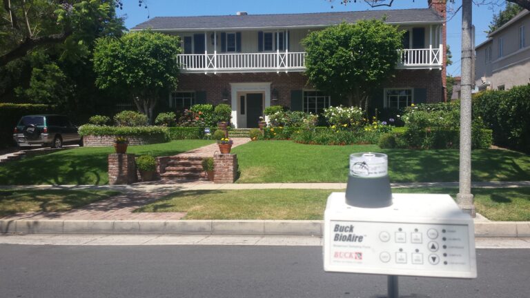 real estate mold inspection