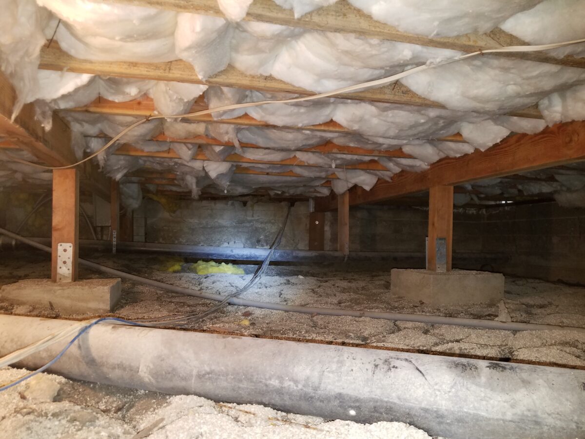 Cool Mold On Insulation Gallery
