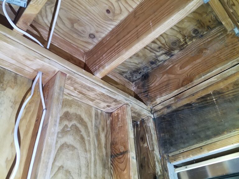 clean mold from wood