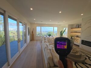 flir moisture detection