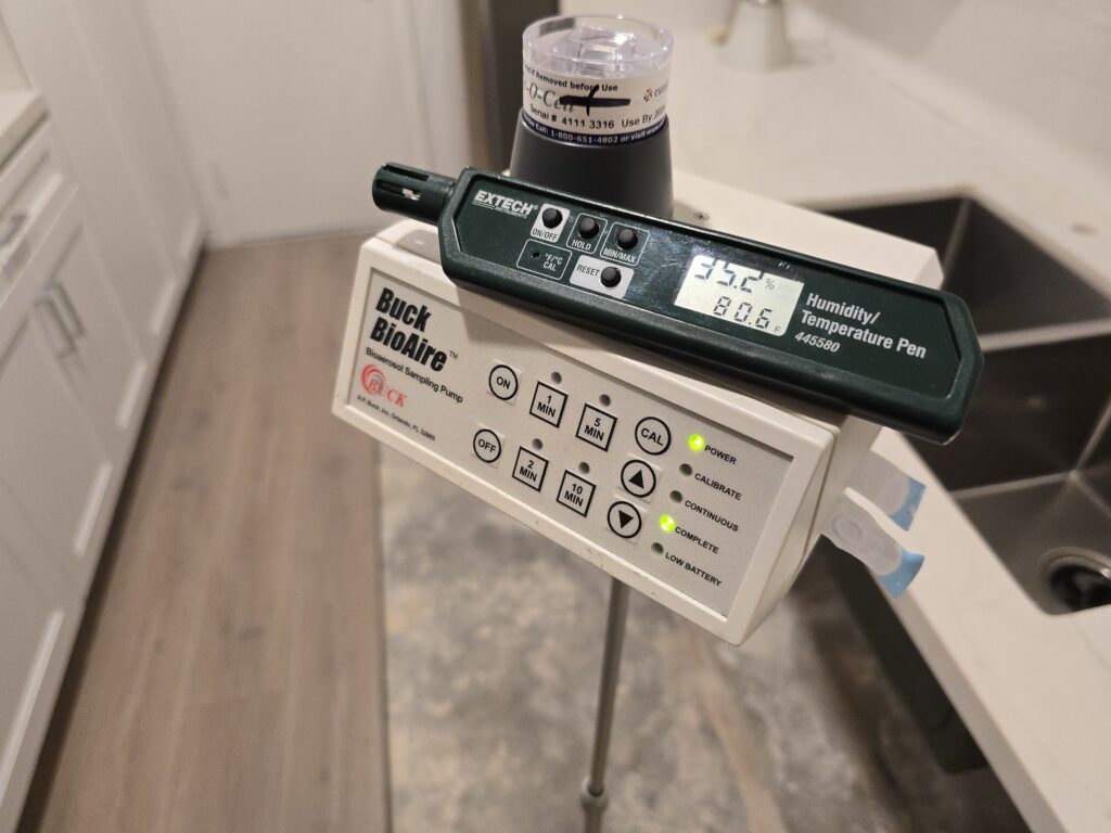 mold remediation Los Angeles