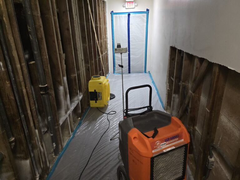 mold remediation