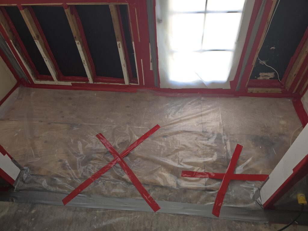 when removal is required vs mold remediation
