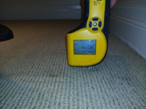 How to Prevent Carpet Mold After Water Damage